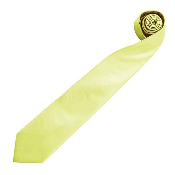 Premier Mens “Colours” Plain Fashion / Business Tie