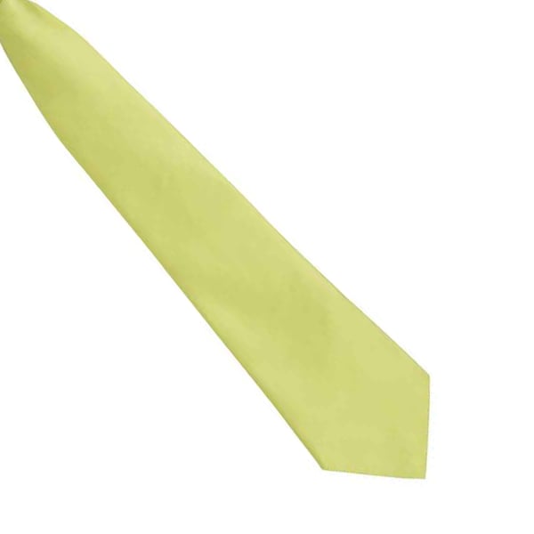 Premier Miesten Muoti ”Colours” Klipsisolmio