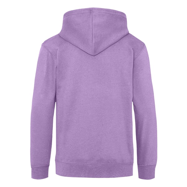 Awdis Kids Unisex Hooded Sweatshirt / Hoodie / Schoolwear