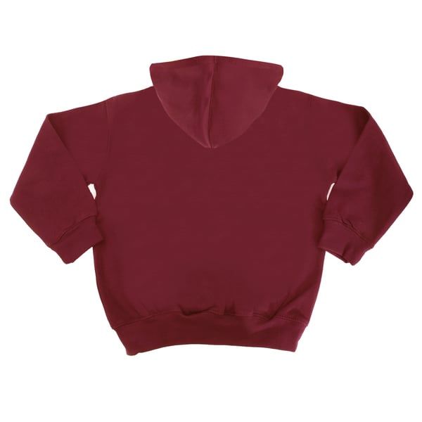 Awdis Kids Varsity Hooded Sweatshirt / Hoodie / Schoolwear