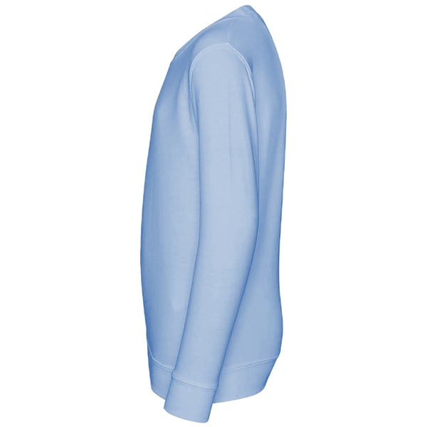 Awdis Just Hoods AWDis Unisex Crew Neck Plain Sweatshirt (280 GSM)