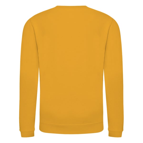 AWDis Just Hoods Childrens/Kids Plain Crew Neck Sweatshirt