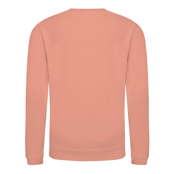 AWDis Just Hoods Childrens/Kids Plain Crew Neck Sweatshirt