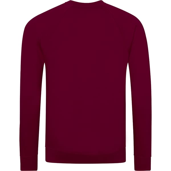 AWDis Academy Mens Crew Neck Raglan Sweatshirt