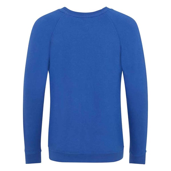 AWDis Academy Childrens/Kids Crew Neck Raglan School Sweatshirt