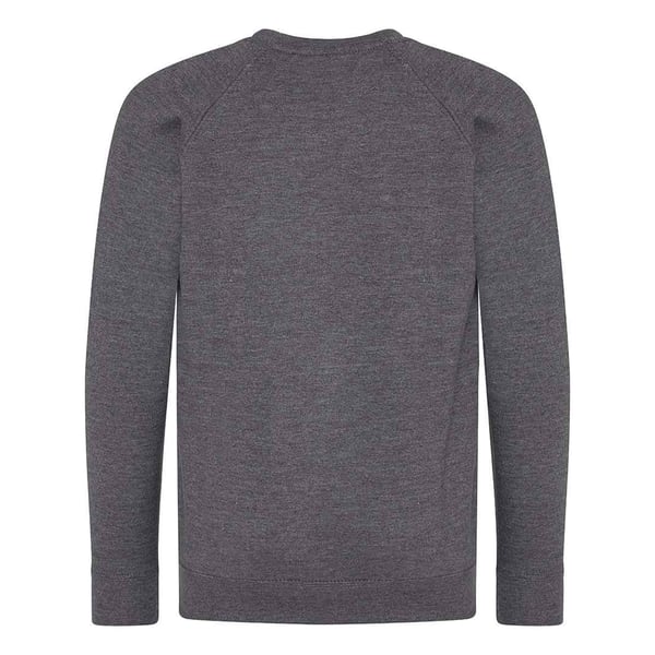 AWDis Academy Childrens/Kids Crew Neck Raglan School Sweatshirt