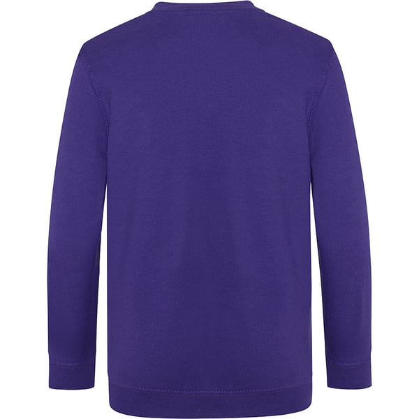 AWDis Academy Childrens/Kids Junior V Neck School Jumper/Sweatshirt