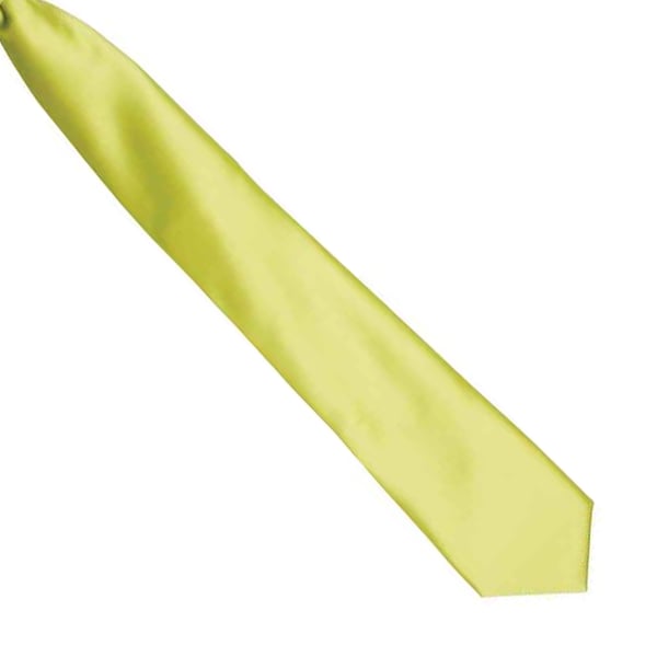 Premier Farver Herre Satin Clip slips