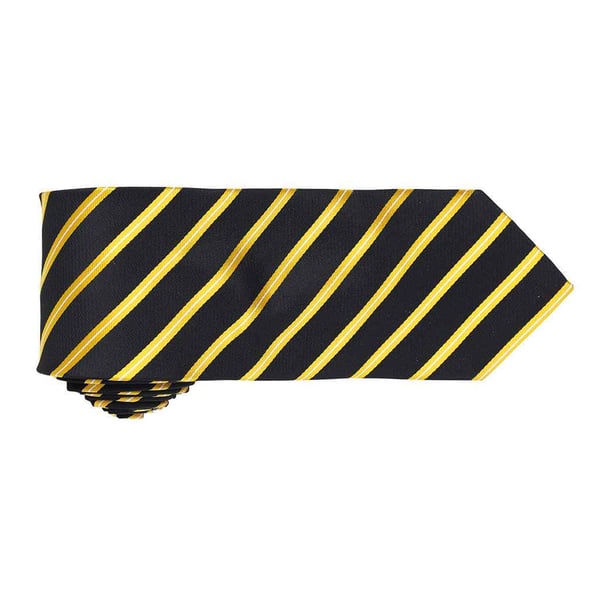 Premier Mens Sports Stripe Pattern Formal Work Tie