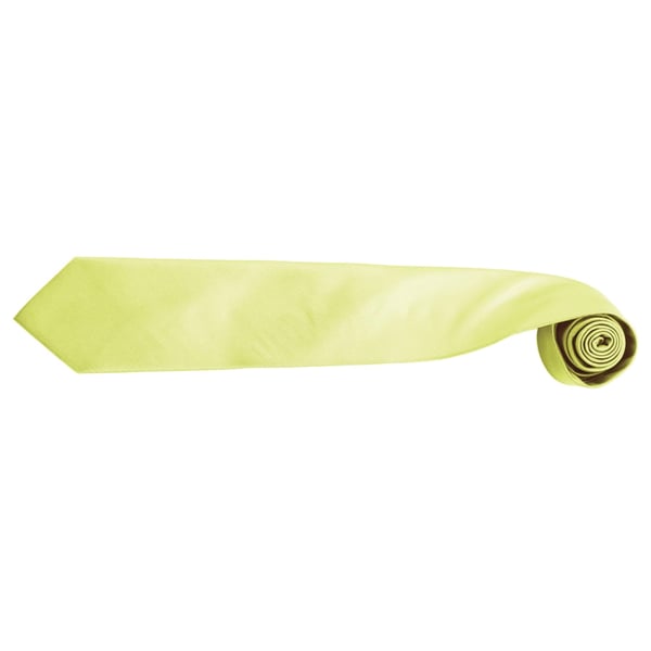 Premier Herrars Mode \"Colours\" Arbets Clip On Slips (2-pack)