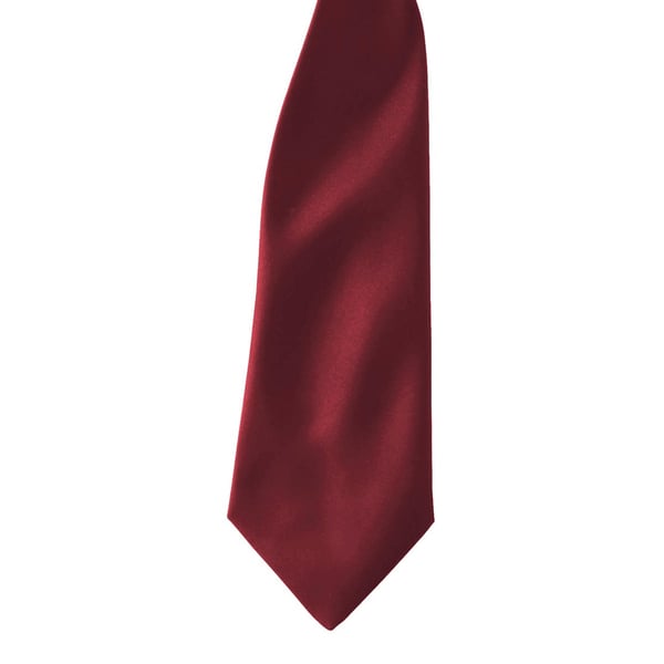 Premier Colours Mens Satin Clip Tie (Pack of 2)