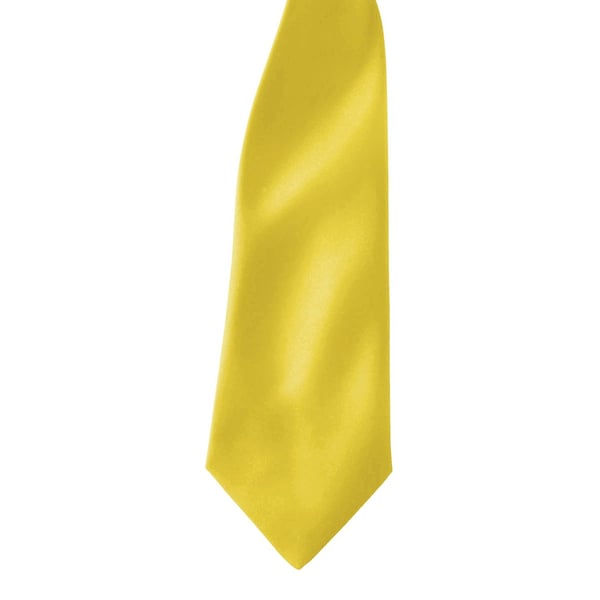 Premier Colours Mens Satin Clip Tie (Pack of 2)