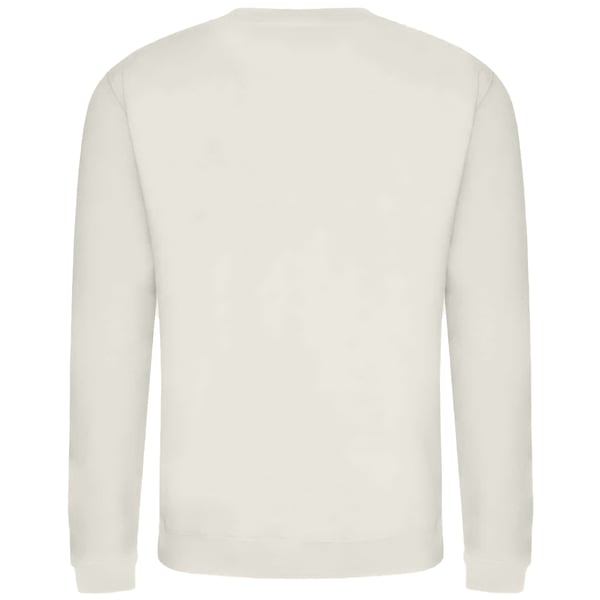 Awdis Mens Sweatshirt