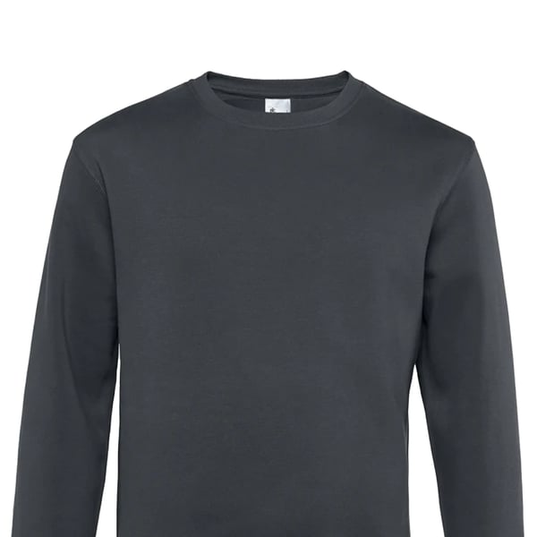B&C King Sweatshirt för män