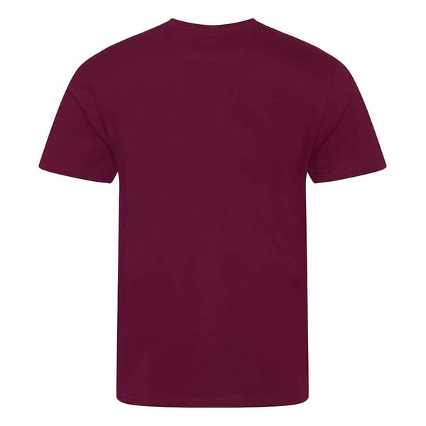 Awdis Mens Cascade Ecologie Organic T-Shirt
