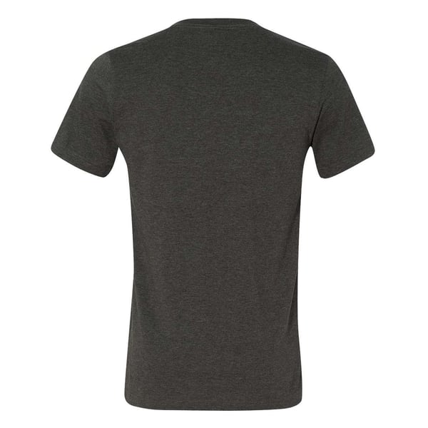 Bella + Canvas Unisex Adult Heather CVC T-Shirt