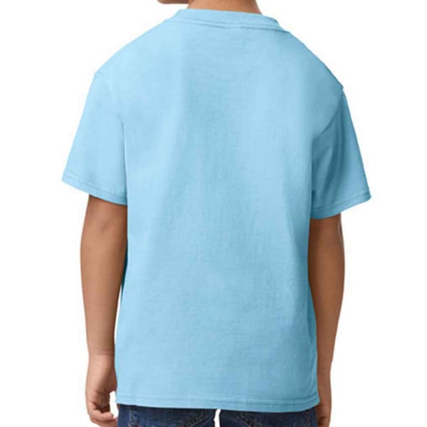 Gildan Børn/Børn Softstyle Midweight T-shirt til børn
