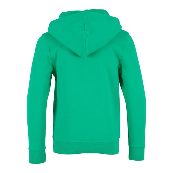 Build Your Brand Børn/børn Basic Organic Hoodie