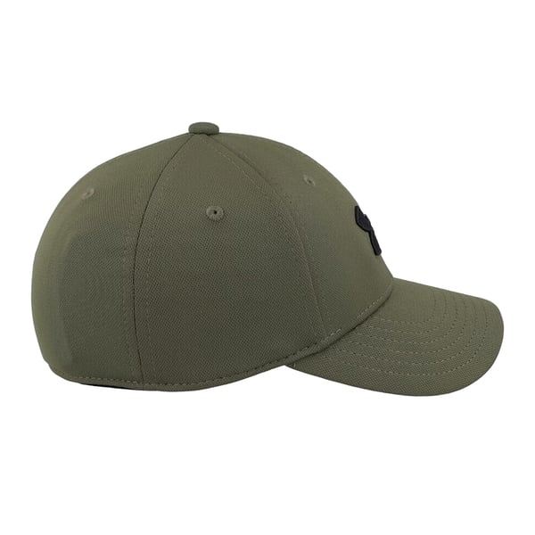 Under Armour Blitzing Cap