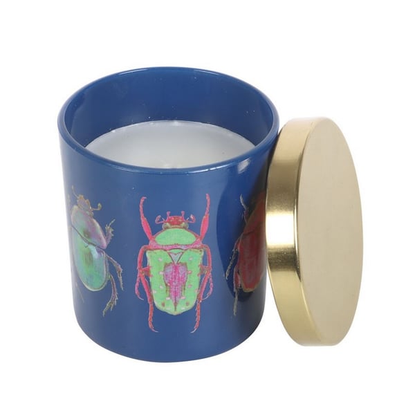 Something Different Amber & Vanilla Beetle Scented Candle