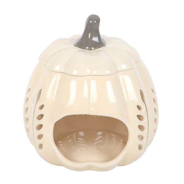 Something Different Pumpkin Oil Burner