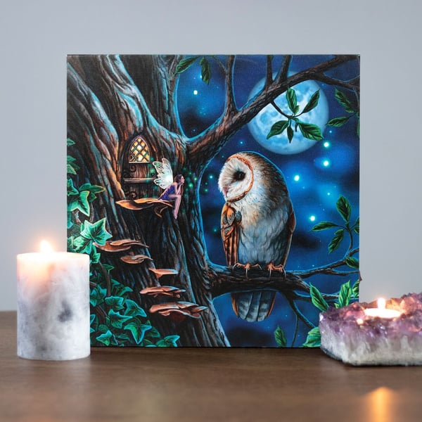 Lisa Parker Fairy Tales Light Up Canvas Framed Plaque