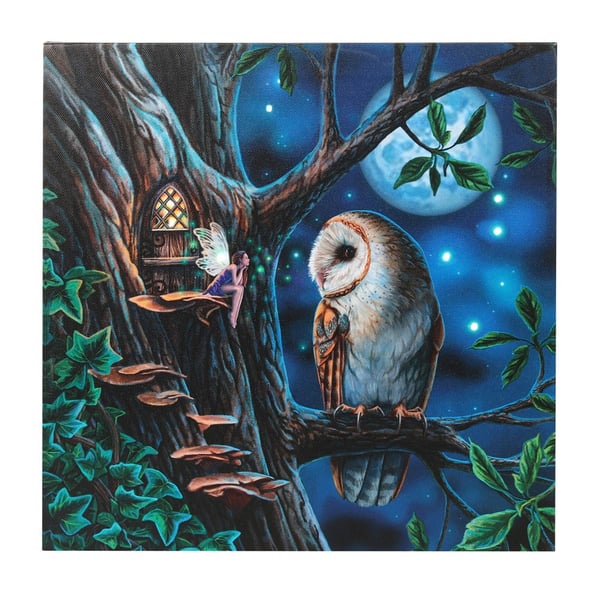 Lisa Parker Fairy Tales Light Up Canvas Framed Plaque