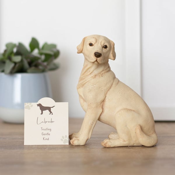 Something Different Labrador-prydnad