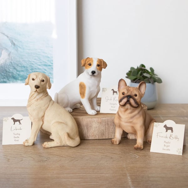 Something Different Labrador-prydnad