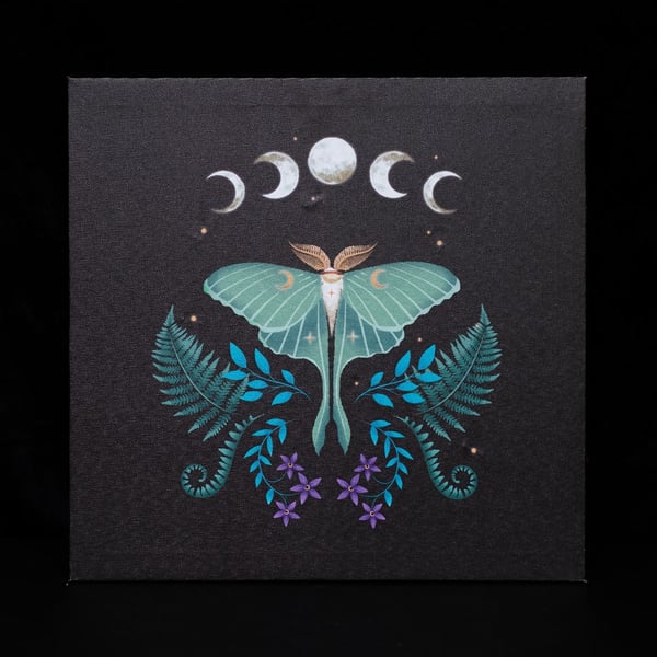 Something Different Canvas Luna Moth Ljusduk