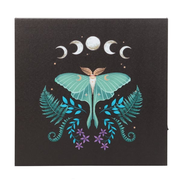 Something Different Canvas Luna Moth Ljusduk