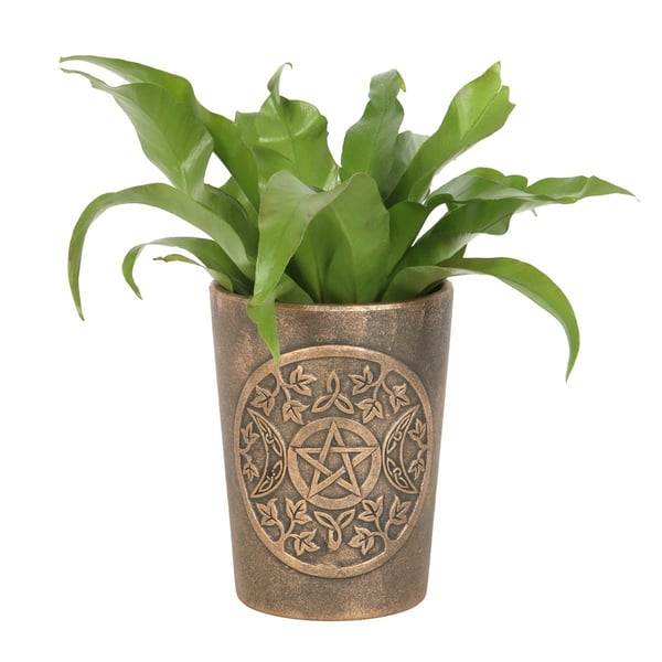 Lisa Parker Triple Moon Terracotta Flower Pot