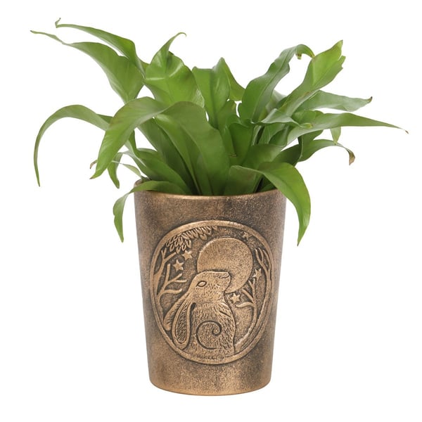 Lisa Parker Moon Gazing Hare Terracotta Flower Pot