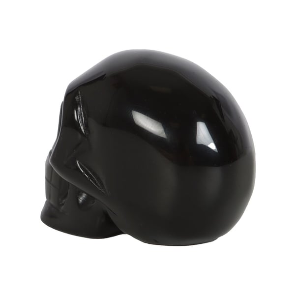 Something Different Obsidian Skull Decoration