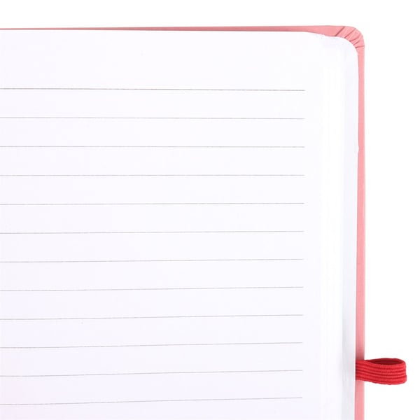 Something Different Gratitude The Sun Rose Quartz Diary And Pen Set