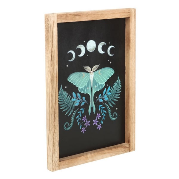 Something Different Wooden Luna Moth Framed Poster