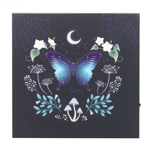 Something Different Midnight Moth Light Up Canvas