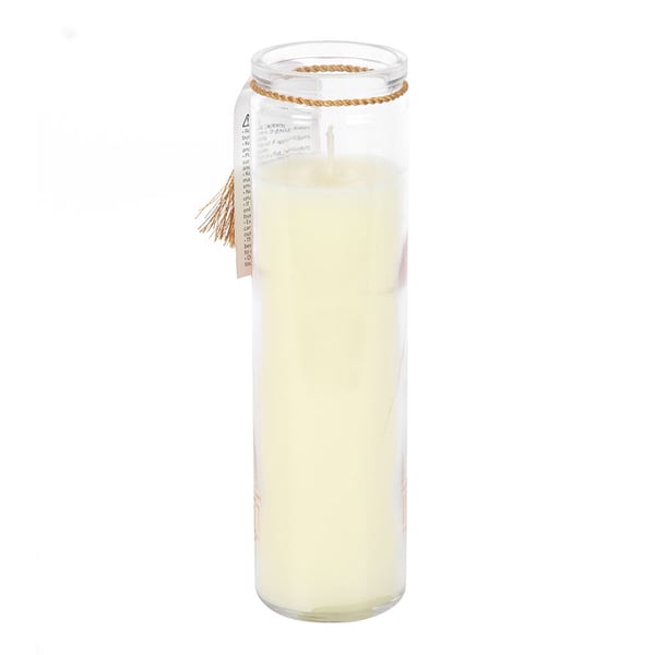 Something Different Sandalwood & Oud Leopard Palm Tube Candle