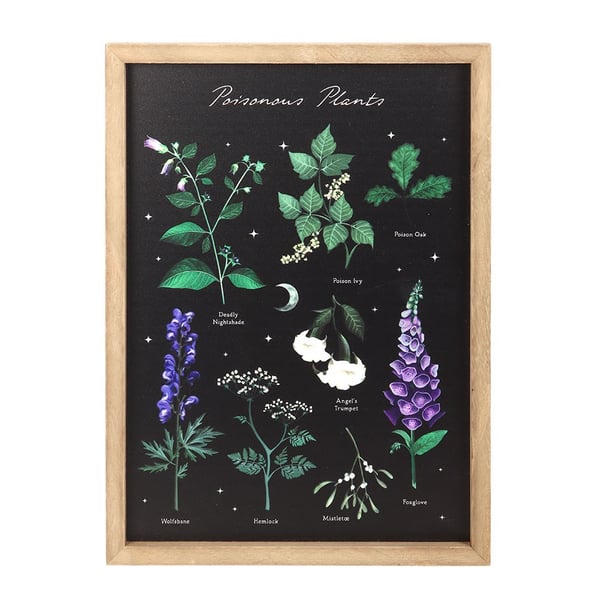 Something Different Poisonous Plants Framed Wall Art