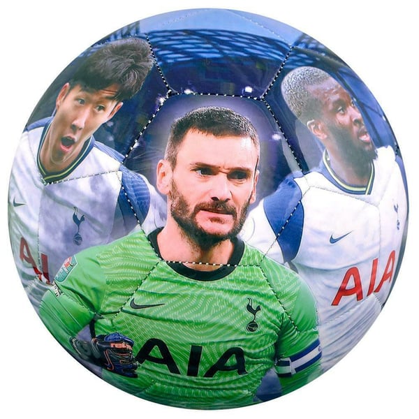 Tottenham Hotspur FC Player Photograph Football