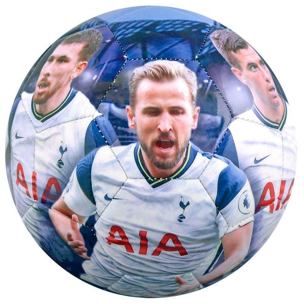 Tottenham Hotspur FC Player Photograph Football