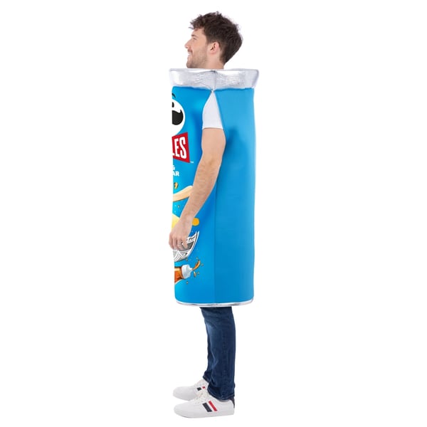 Pringles Unisex Adult Salt & Vinegar Can Costume