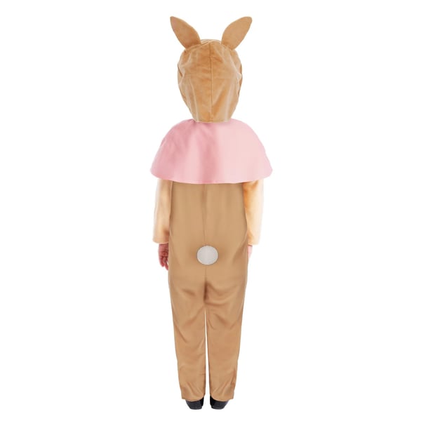 Peter Rabbit Childrens/Kids Flopsy Classic Costume