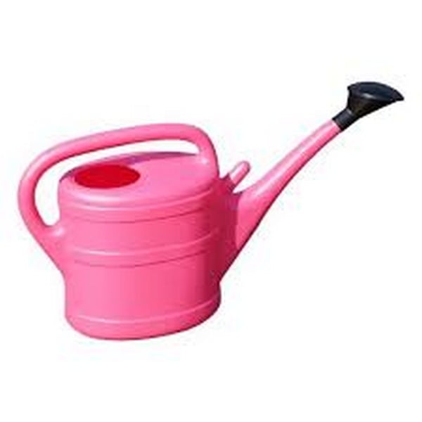 Green Wash Essential Watering Can