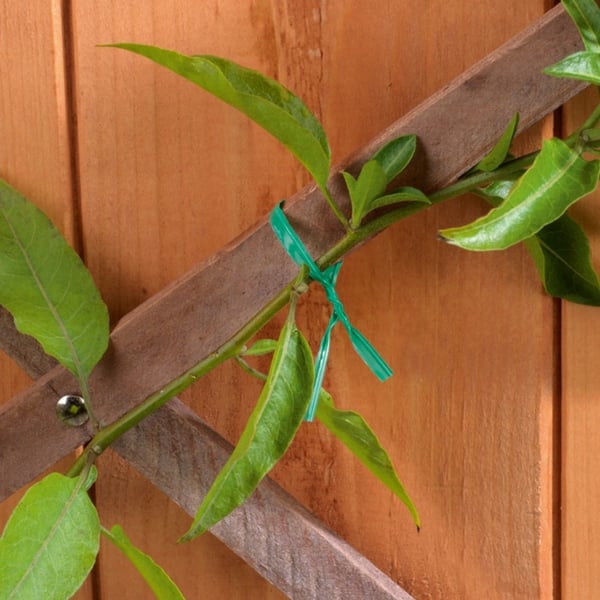 Ambassador Garden Wire Twists (pakke med 100)