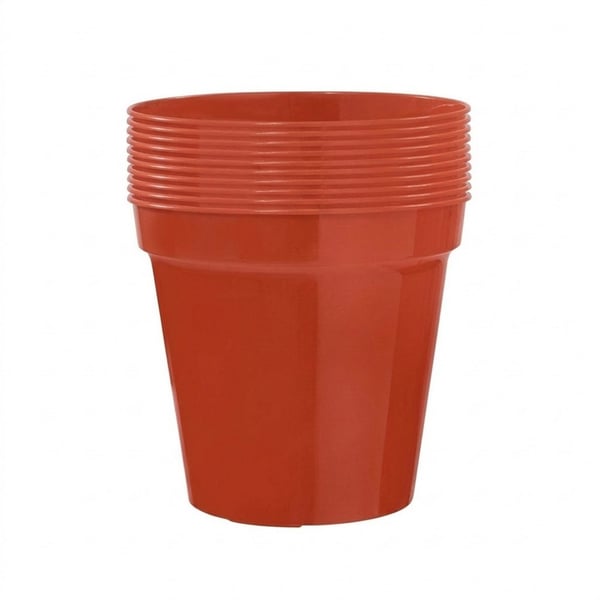 Ambassador Blomkruka (10-pack)
