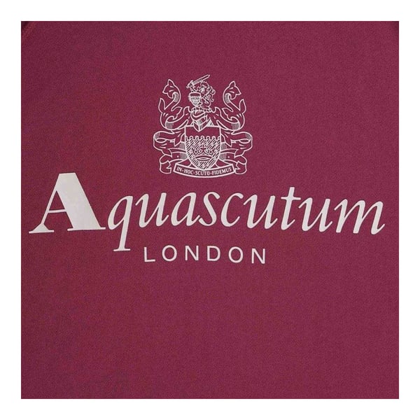 Aquascutum Mens Active Big Logo Hoodie