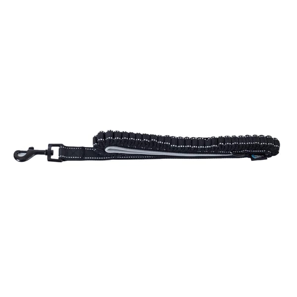 Newcastle United FC Reflective Dog Lead