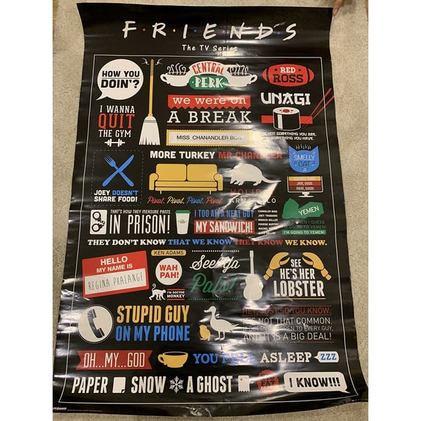 Friends Infografisk plakat