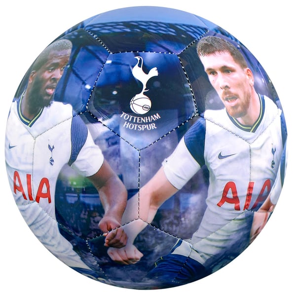 Tottenham Hotspur FC Player Photograph Football